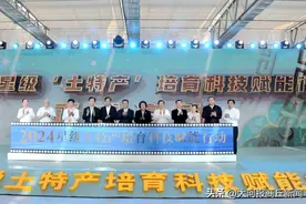 河南夏邑：做好“土特产”大文章图片