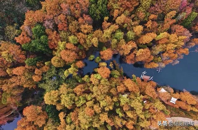 信阳冬季的N种打开方式，总有一种让你心动