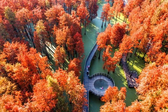 来，把舞台交给森林！临安解锁自然疗愈新体验