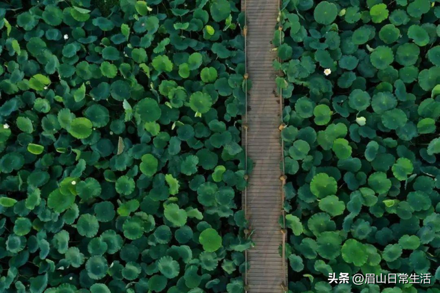 翻过“浪浪山” 来东坡故里逛逛