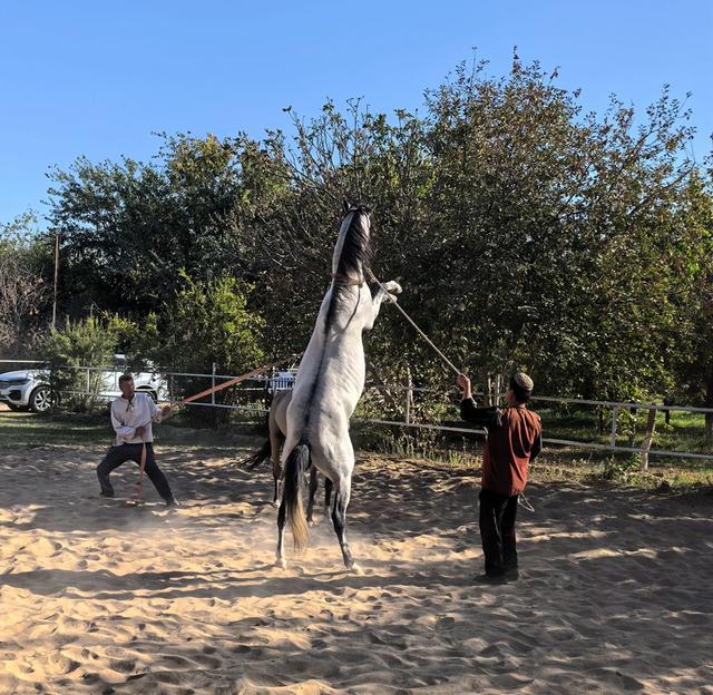 中亚五国行（18）——圆梦汗血宝马【土库曼】