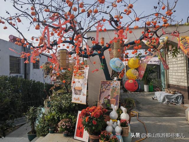 泰安：城东山腰间藏了个神仙小院，步步是景，处处藏趣