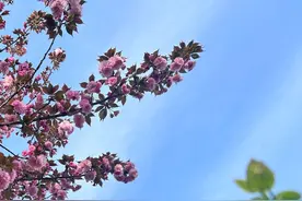 男人以下的行为，会毁掉婚姻，女人别抱侥幸心理图片