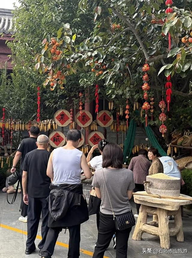 国庆第五天，赤山热度不减！这份秋日欢乐清单请收好！