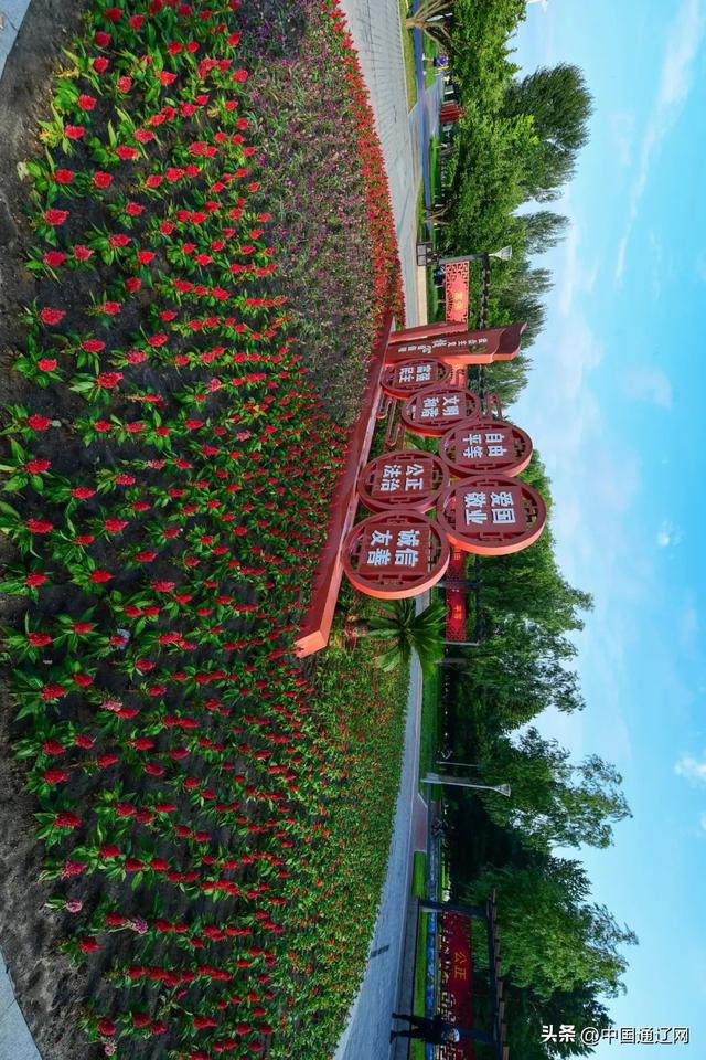 辽河公园 城市里的绿色客厅