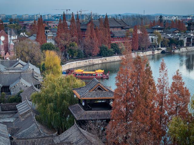 古城杉树运河魂