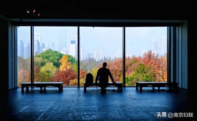 南京这些“魔法之窗”，怎么拍都出片！