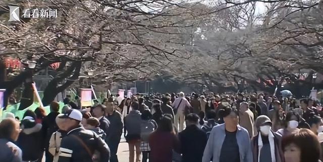 60万人逃离 1.3万人逆行：中国赴日游客锐减下的坚持与博弈