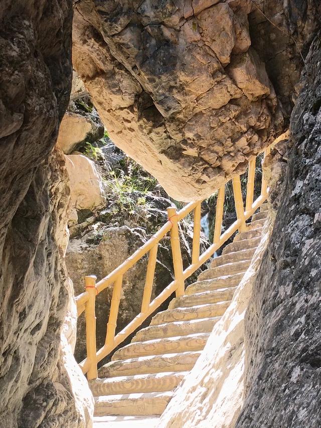 这么好看，不愧是遮阳山的秋天！