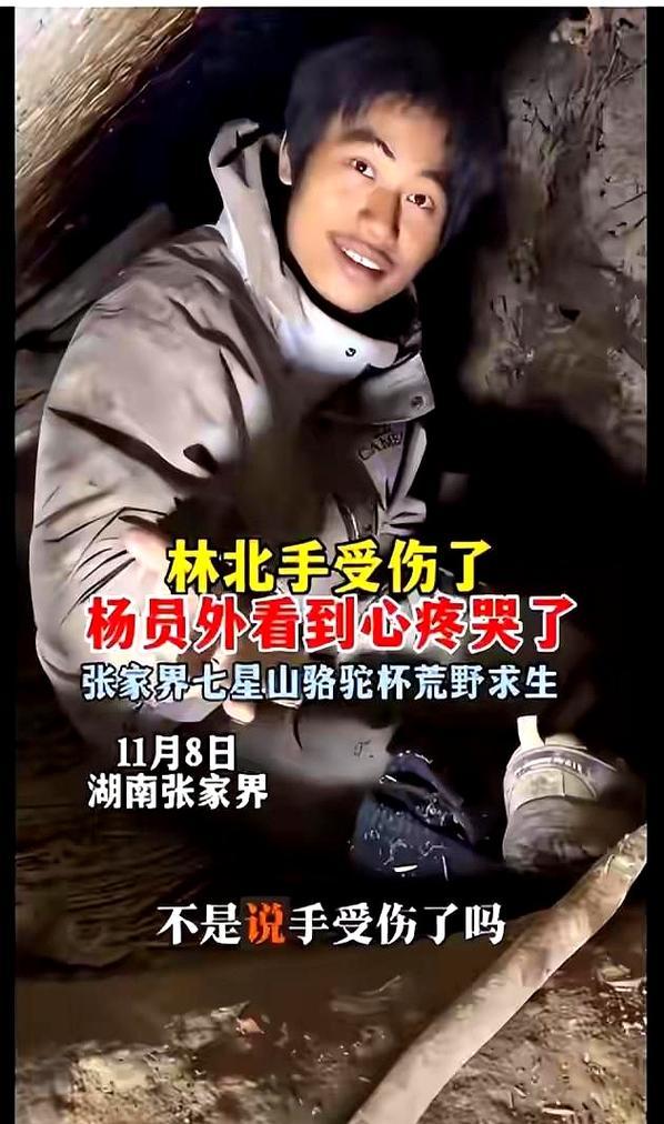 荒野求生挑战赛刷屏！看完之后，谁不想测测户外活几天？