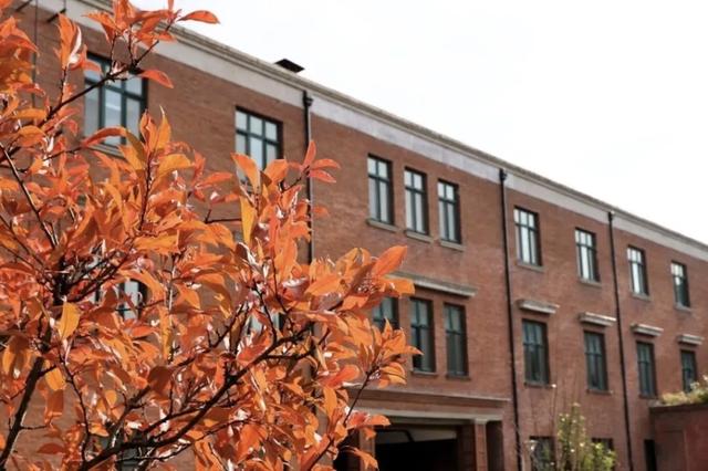 秋之彩色吉林｜工业区不懂浪漫？长春汽开区的秋天，美到犯规！