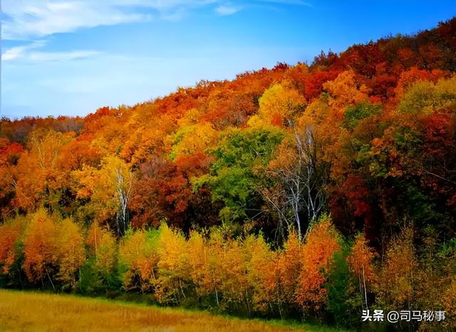 小兴安岭藏宝地！南岔冰雪狂欢、红色记忆、北药盛宴