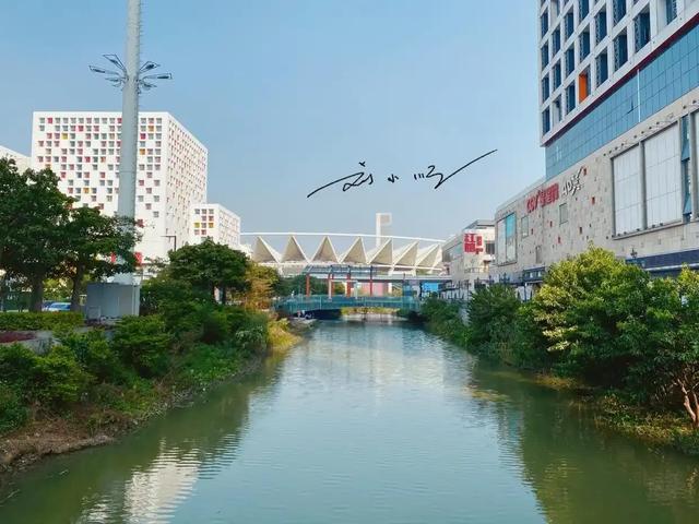 为什么顺德人不喜欢说自己是佛山人?