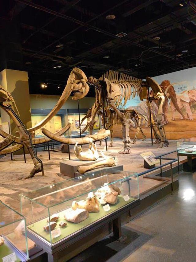 中国国家自然博物馆简介