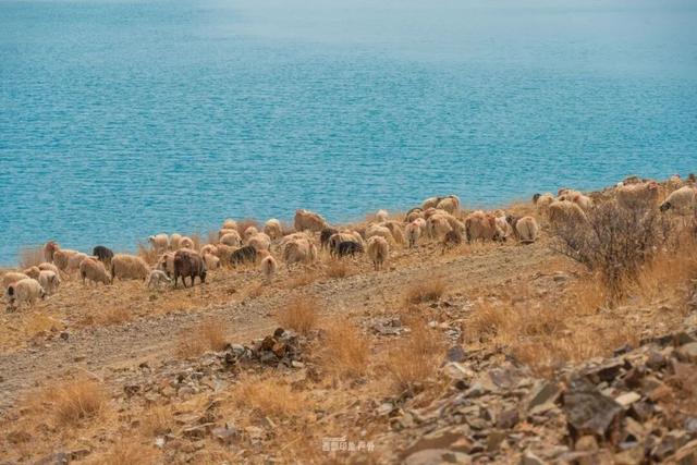 库拉岗日，“戏”真多！