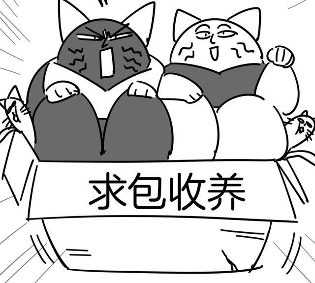 轻松欢乐沙雕向漫画合集