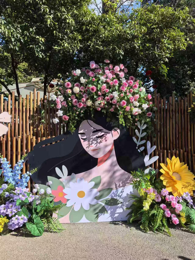 游历雅记：春之城 花之都 初冬游昆明