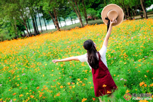 美爆了！佛山秋日花海上新！