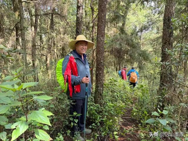 周末徒步,走昆明嵩明的灵云山,游法界寺、走森林步道,休闲惬意