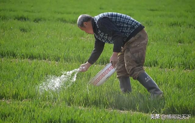央视曝光毒红薯！商户主动投毒	，流窜至全国多地，背后利益链曝光