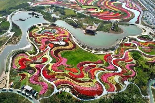 世界月季大观园 致每一位如约而来的你：抱歉，感谢，我们继续努力！