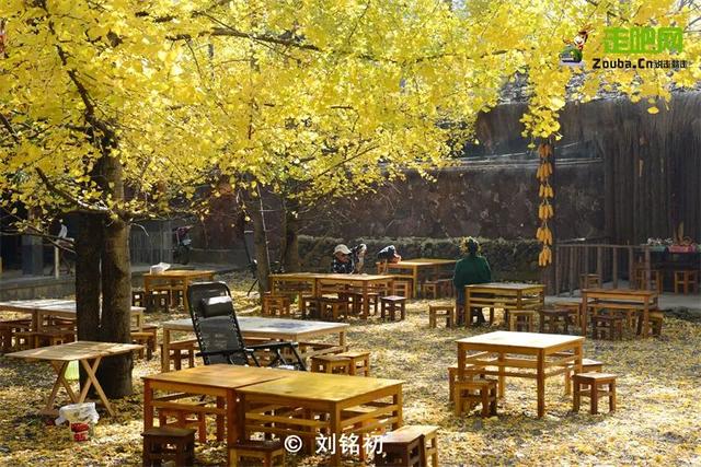 均温25°C，一年晴天300天的滇西小城，去躺平几日简直不要太快乐