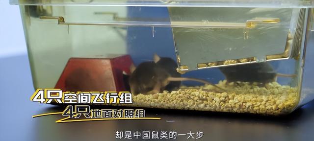 神舟二十一号升空！现在的问题是，导师上天了，组会还开吗？