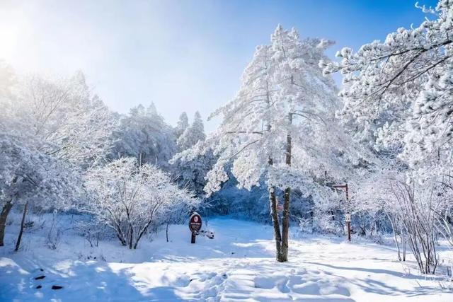 颜值暴击！好期待明月山下雪呀~
