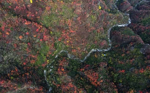 “中国北方第一峡”金龙峡风景区举办红叶节健康徒步行活动