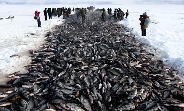 热雪之上，雾凇之下！八条线路畅玩冬日牡丹江