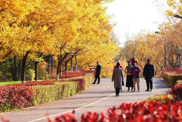 【白银文旅】在这里，遇见甘肃的另一面：白银，时间与山河的叠影