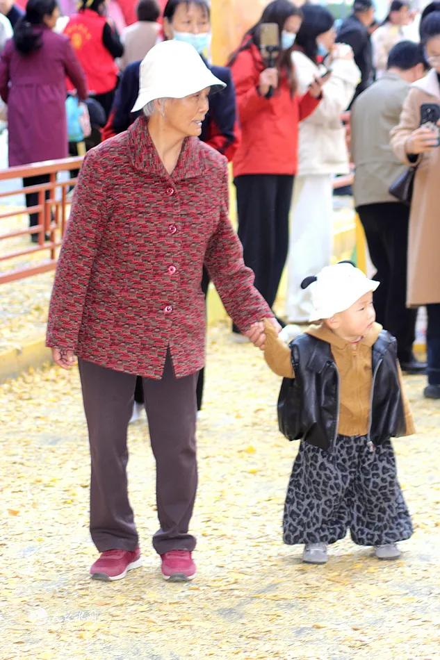 【图看黄金大道】金色长廊映秦州，天水“黄金大道”引客来！