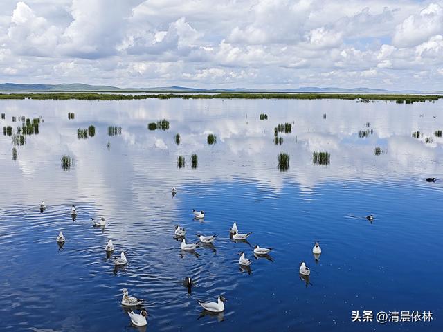 甘南八日行：7月23日，第六天