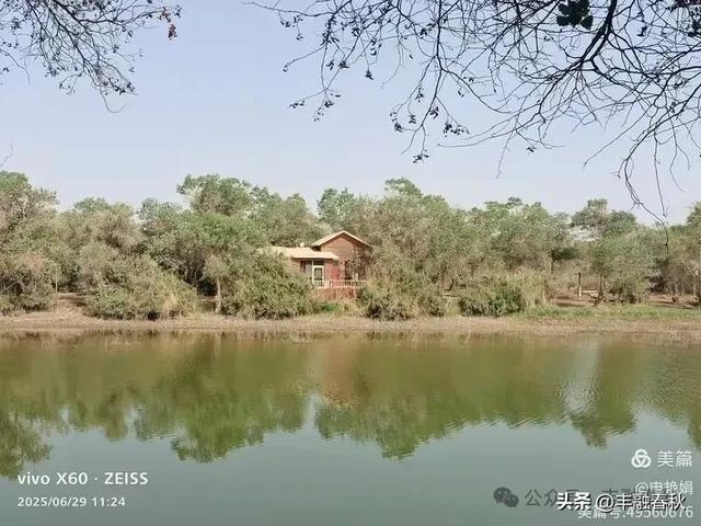 探秘新疆巴楚红海景区：自然与人文的交响｜ 申艳娟