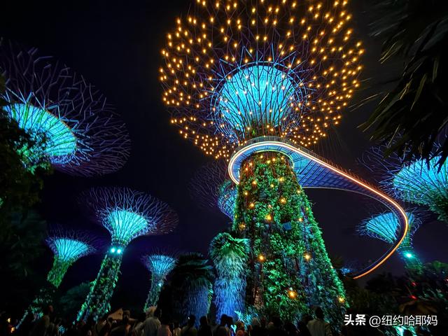 2025暑假 新加坡顺道游（二）