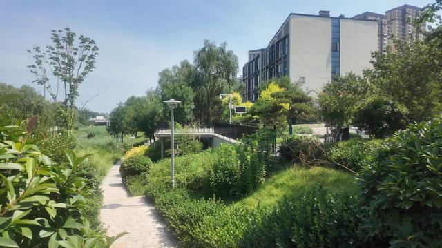 槐荫区共享绿地：自然与烟火交融 绘就宜居图景