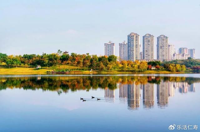 除了“YYDS”，我们还可以这样夸仁寿