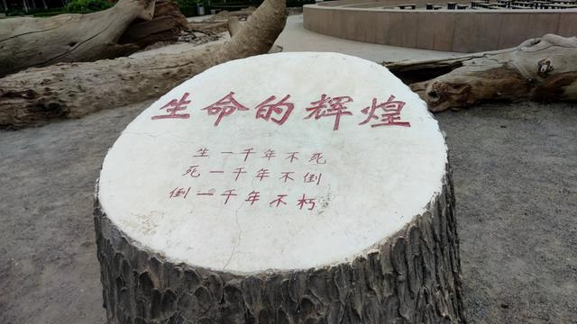若羌待了4天有些无聊，不过也有些有意思的地方