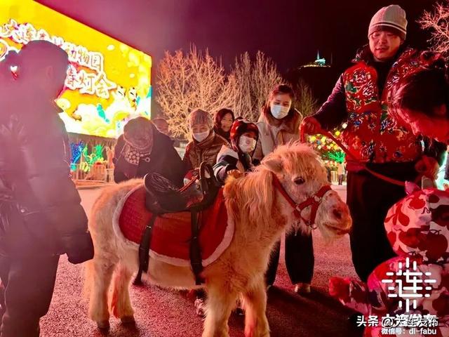 今天，在大连闹元宵！