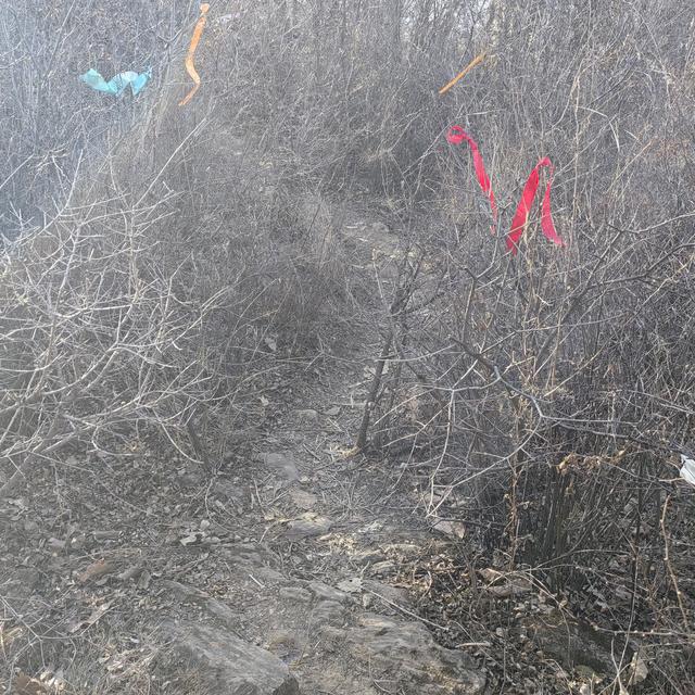 鹿皮关长城徒步