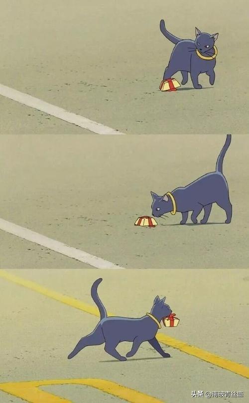 电影《猫的报恩》：在猫咪王国奇幻冒险，寻找真正的自我