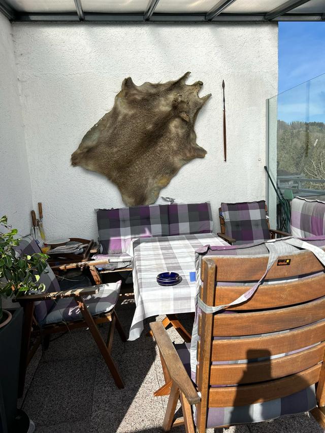 《 再见，德国 》