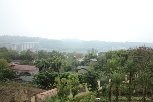 广安这个“江南院子”，藏着一个孩子的秘密乐园