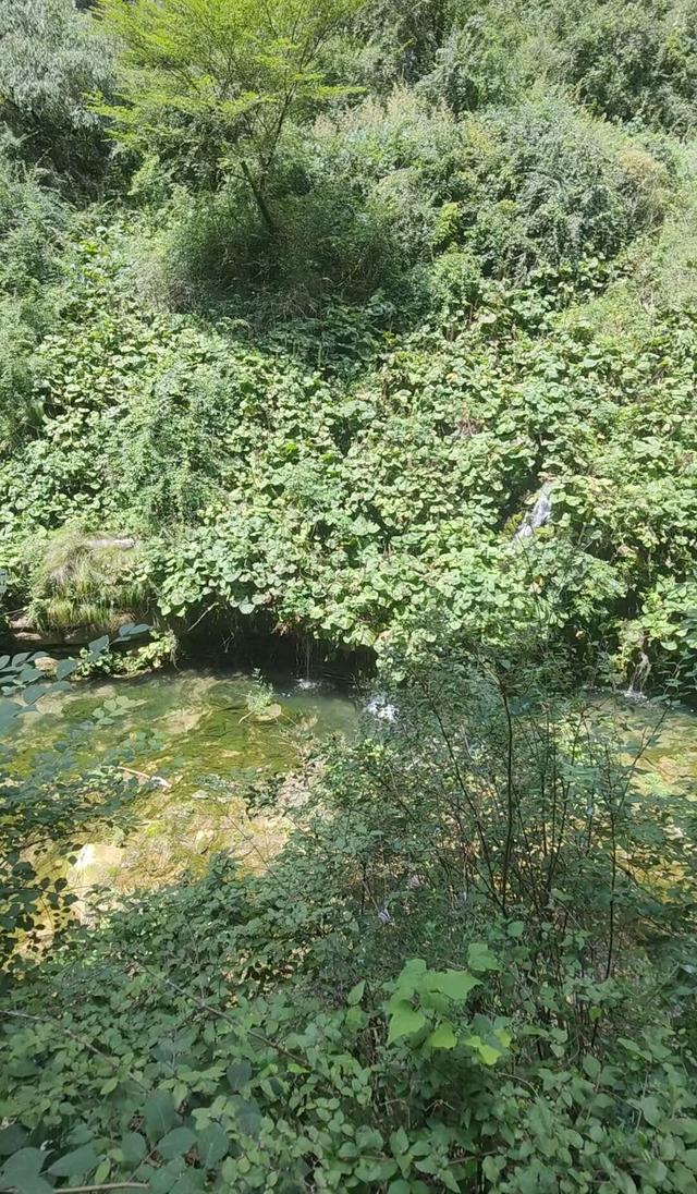 壮美太行·灵动峡谷——八泉峡！