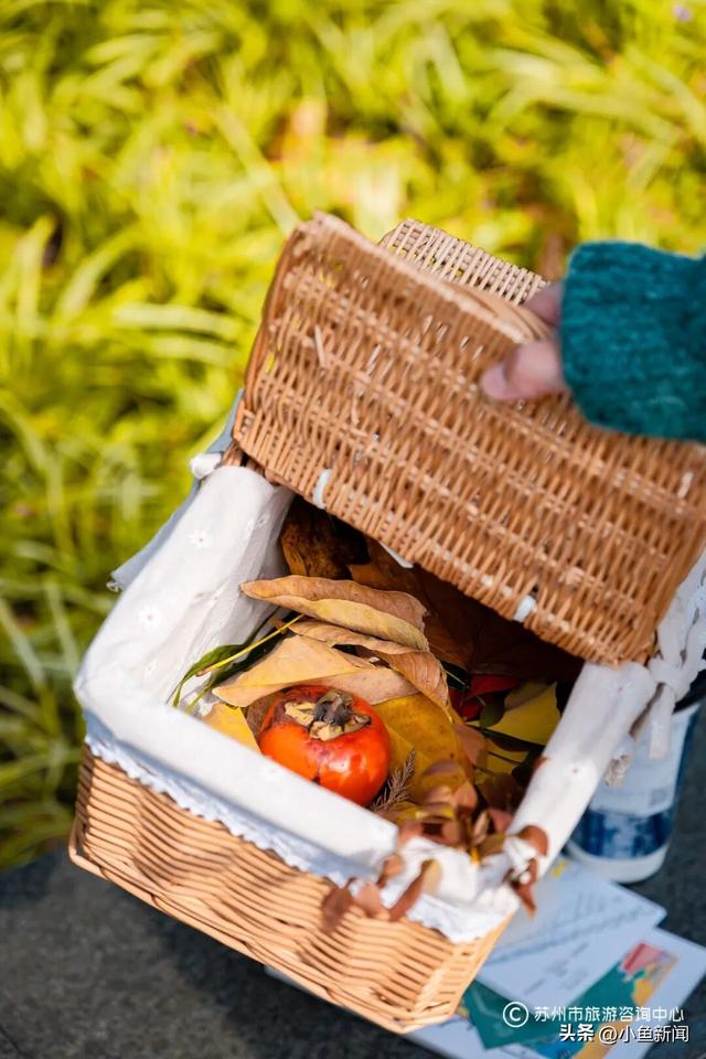 快来捡！苏州秋日“限量款”