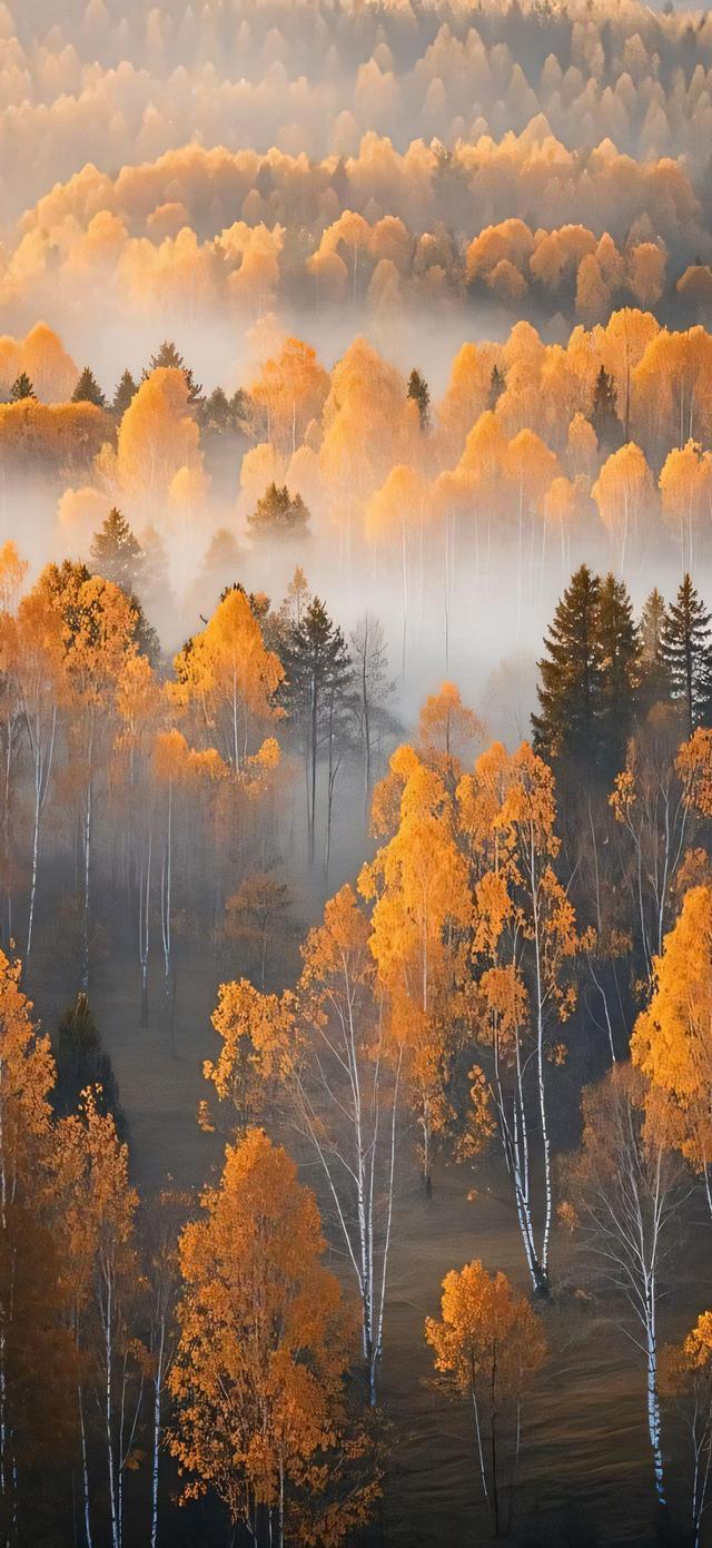 手机壁纸|秋天风光美景，自然美如画