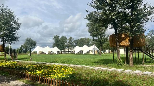 央媒看赛罕 | 快看,这里被多家央媒关注!