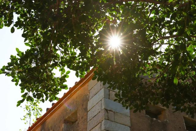 海防遗址+落日栈道，东海小众漫游地！