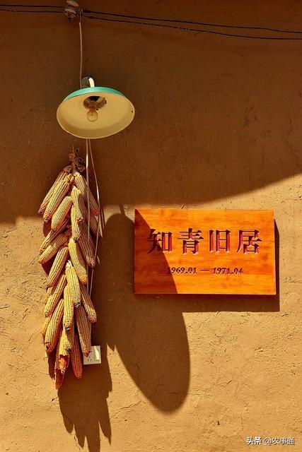 河套滩上的青春辙印——内蒙古兵团岁月里的知青记忆