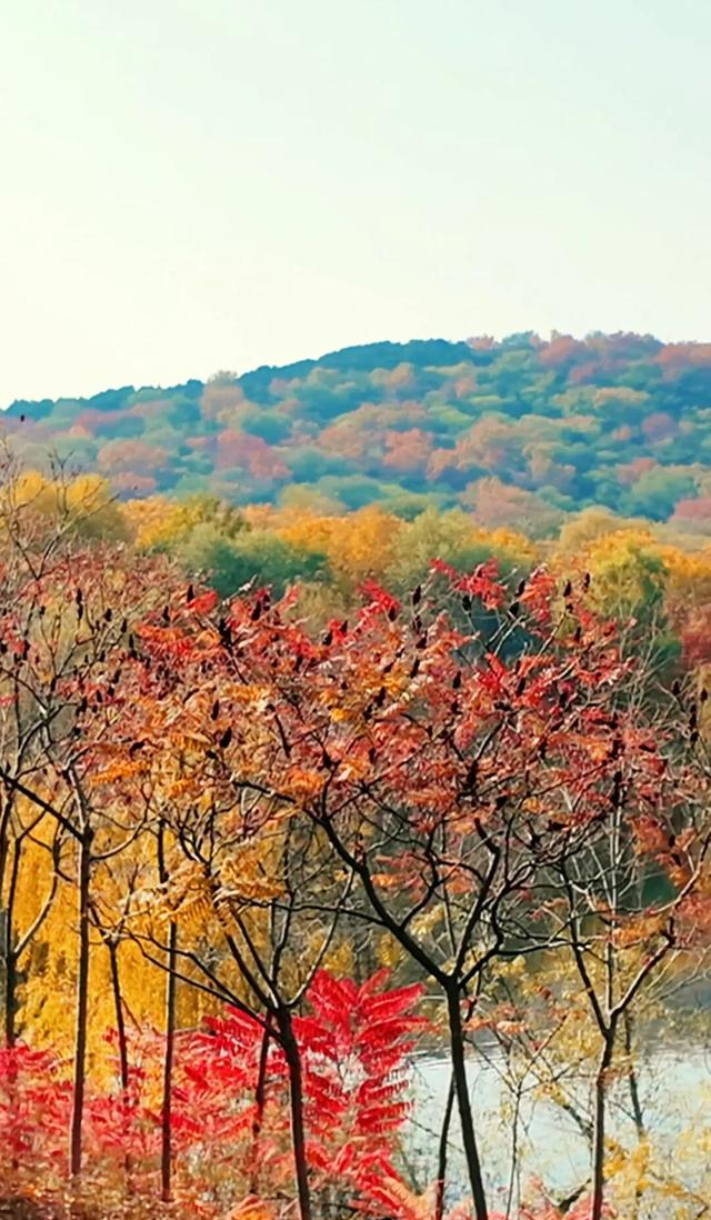 18公里步道免费开放！北京西五环边这个公园迎来最佳观赏期